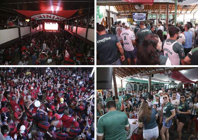 Torcidas do Palmeiras e Flamengo dividem paix&atilde;o e disputam sonho da vit&oacute;ria