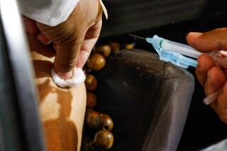Vacina sendo aplicada em Campo Grande. (Foto: Henrique Kawaminami/Arquivo)