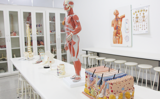 Laboratório de anatomia para utilidade dos alunos. (Foto: Divulgação)