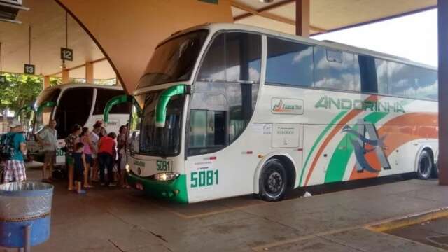 Andorinha &eacute; autuada por impedir reserva de passagens gratuitas
