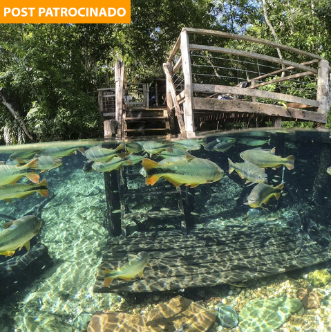 Desconto para sul-mato-grossense garante passeios baratos em Bonito