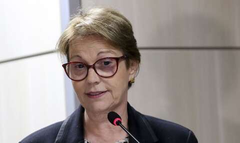 Pecuária tem papel fundamental na agenda climática mundial, defende ministra 