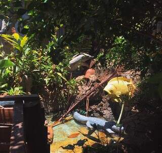 No Jardim, Levi colocou estruturas de peixe, jacaré e anta. (Foto: Jéssica Fernandes)