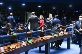 Plenário do Senado Federal durante sessão deliberativa ordinária semipresencial. (Foto: Jefferson Rudy/Agência Senado)