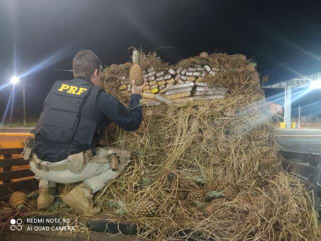 Vendedor de abacaxi &eacute; preso com maconha e skunk escondidos em meio &agrave; carga