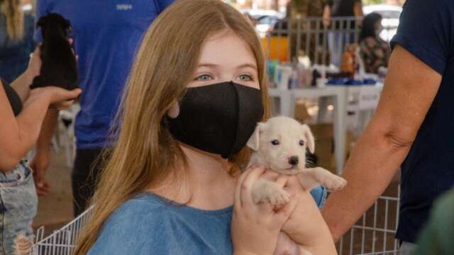Pet em Família acontece no domingo com desfile e 60 animais para adoção