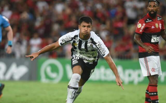 Com gol de Marcos Leonardo, Santos vence o Flamengo e se garante na S&eacute;ria A