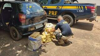 Policial contabilizando os tabletes de maconha. (Foto: PRF) 