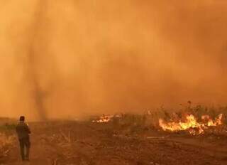 Incêndio florestal no Pantanal em 2021. (Foto: Divulgação/Corpo de Bombeiros Militar)