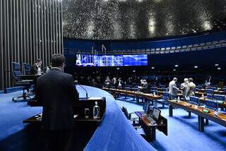 Plenário do Senado Federal. (Foto: Waldemir Barreto/Agência Senado)