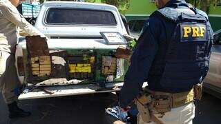 Traficante e batedor s&atilde;o presos com 600 quilos de maconha, haxixe e skunk 