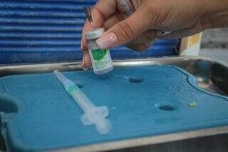 Frasco de vacina contra Influenza, fabricada pelo Instituto Butantã. (Foto: Marcos Maluf/Arquivo)