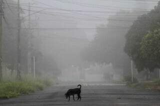 Rua do Jardim Panamá, na Capital, tomada pela neblina no início desta manhã. (Foto: Marcos Maluf)