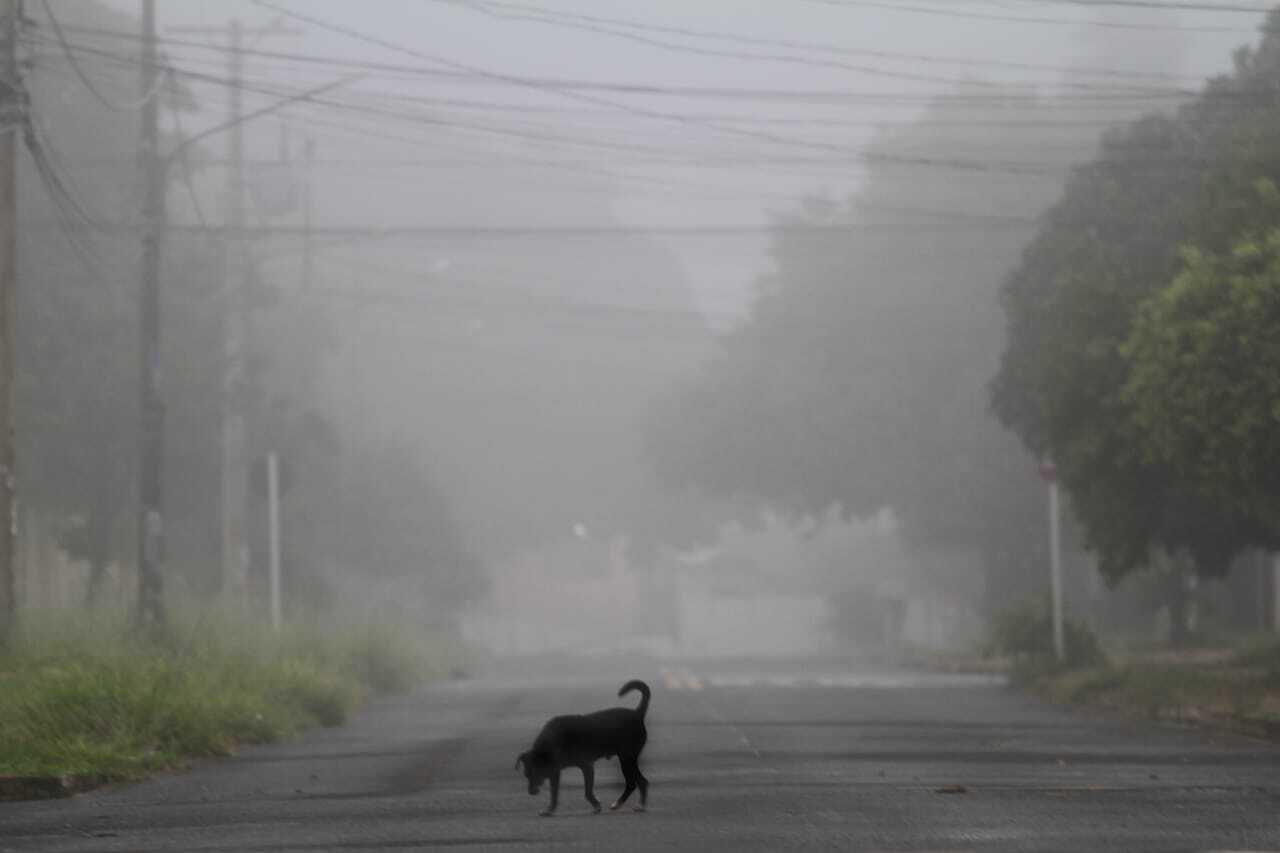 Dia amanhece com chuva, neblina e friozinho nos quatro cantos de MS - Meio  Ambiente - Campo Grande News