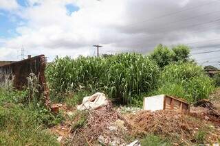 Moradores encontram cad&aacute;ver em terreno baldio na Guaicurus