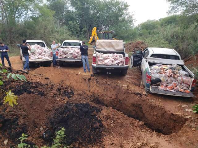 Quatro toneladas de carne estragada s&atilde;o apreendidas e descartadas no interior