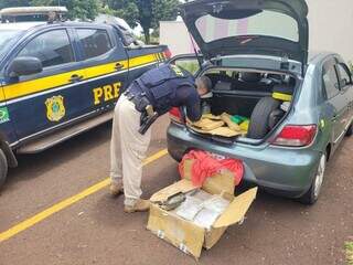 Traficante &eacute; presa a caminho de SP com 200 quilos de maconha e skunk 