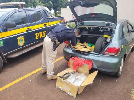 Traficante &eacute; presa a caminho de SP com 200 quilos de maconha e skunk 