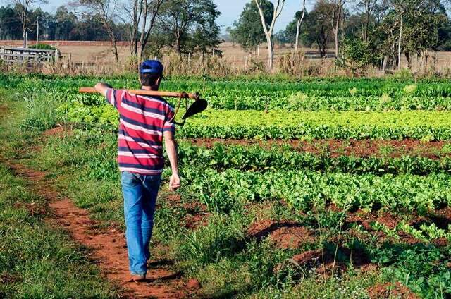 Congresso restabelece auxílio a agricultores afetados pela pandemia