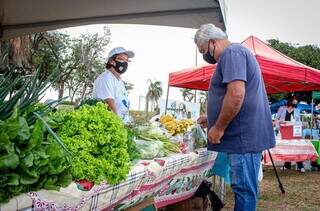 Hortifrutis são comercializados na Feira Agroecológica da UFMS (Foto: Divulgação/Leandro Benites/Fapec)