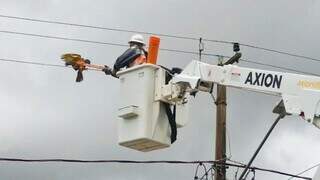 Funcionário da Energisa se aproxima de arara que estava dois dias no fio de alta tensão. (Foto: Reprodução)