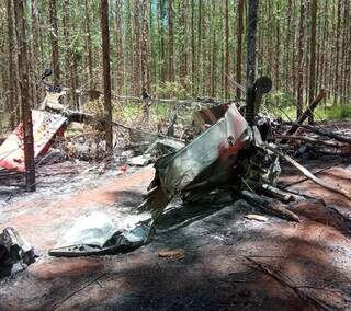 Aeronave pegou fogo e ficou completamente destruída. (Foto: Corpo de Bombeiros)