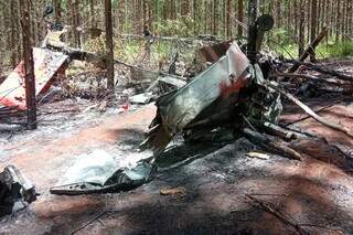 Avião pegou fogo depois de cair em fazenda. (Foto: Divulgação/Bombeiros)