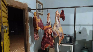 Carne de gado furtado foi localizada em comércio. (Foto: Divulgação)