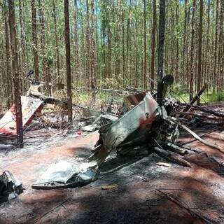 Avião pegou fogo depois de cair em fazenda. (Foto: Divulgação/Bombeiros)