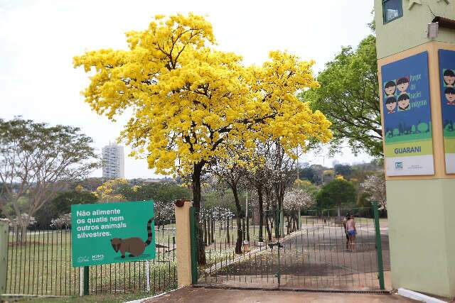 Parque das Na&ccedil;&otilde;es Ind&iacute;genas fecha os port&otilde;es mais cedo no Natal e Ano-Novo