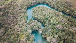 Imagem aérea de um trecho do Rio Formoso com mata preservada. (Foto: Divulgação)