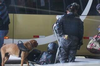 Policial do Choque e cão farejador conferindo bagagens em fila de embarque na Rodoviária de Campo Grande (Foto: Henrique Kawaminami)