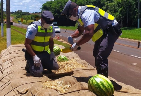 Homem é preso com 1,3 tonelada de maconha em meio à carga de melancia