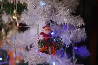 Enfeite de mini Papai Noel que veio na árvore. (Foto: Paulo Francis)