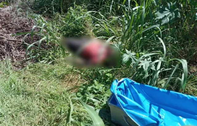Homem encontrado morto em terreno estava desaparecido e tinha 73 anos 