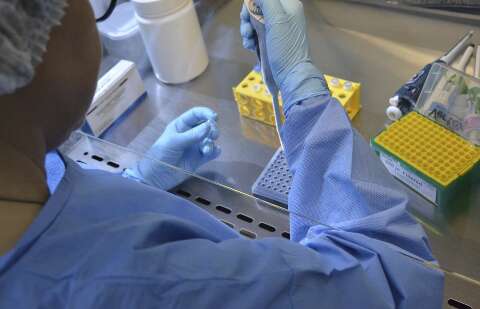 Saúde investiga se variante Darwin causou morte por H3N2