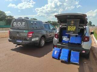  Traficante e batedor s&atilde;o presos com mais de 660 quilos de maconha