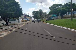 Sacos de lixo bloqueiam pista da Avenida Mato Grosso (Foto: Cleber Gelio)