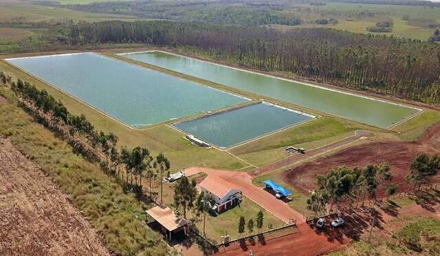 Mato Grosso do Sul tem 50% das cidades com avan&ccedil;os em servi&ccedil;os de esgoto