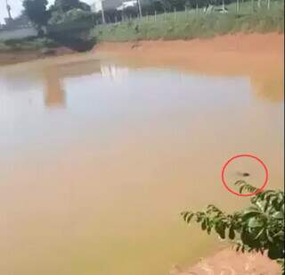 Local onde o homem teria entrado para nadar e acabou se afogando (Foto: Reprodução/Fatos MS)