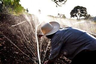 Homem do campo leva irrigação para sua plantação. (Foto: Famasul)