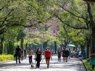 Espaço de caminhada e uma grande diversidade de atividades ao ar livre todos os dias da semana (Foto: Rovena Rosa/Agência Brasil)