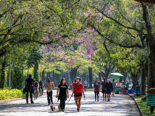 Conheça o Parque do Ibirapuera, lugar imperdível em São Paulo