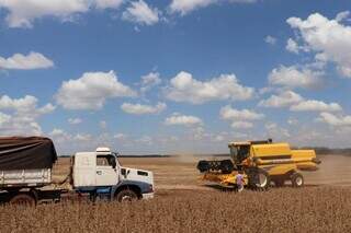 Máquinas agrícolas no meio da lavoura. (Foto: Arquivo | Governo de MS)