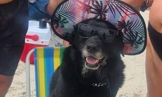 Laika com óculos escuros e chapéu que a deixou famosa. (Foto: Reprodução Instagram)