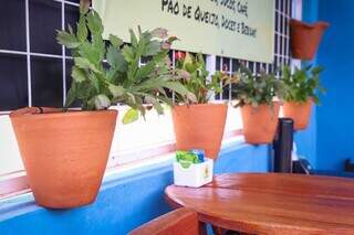 Plantas decoram o espaço do café. (Foto: Henrique Kawaminami)