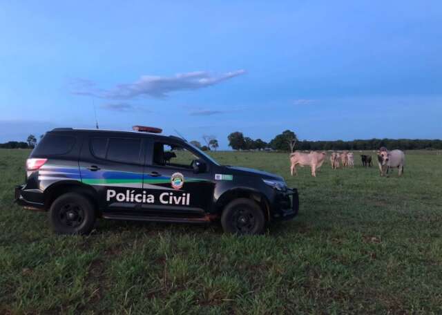 Pol&iacute;cia prende quadrilha que furtou gado com apoio de funcion&aacute;rio de fazenda