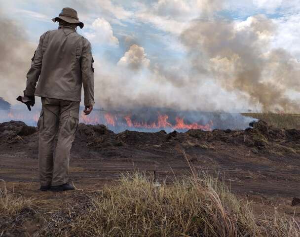 Bombeiros tentam conter inc&ecirc;ndio em Parque Municipal h&aacute; cinco dias