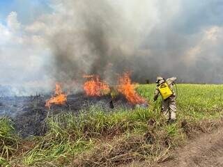 Bombeiros tentam conter as chamas que avançam (Foto: CBM-MS / Divulgação)