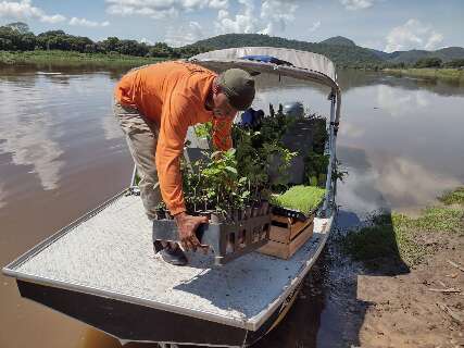 Para restaurar vegetação, Pantanal recebe mudas de verduras e árvores frutíferas